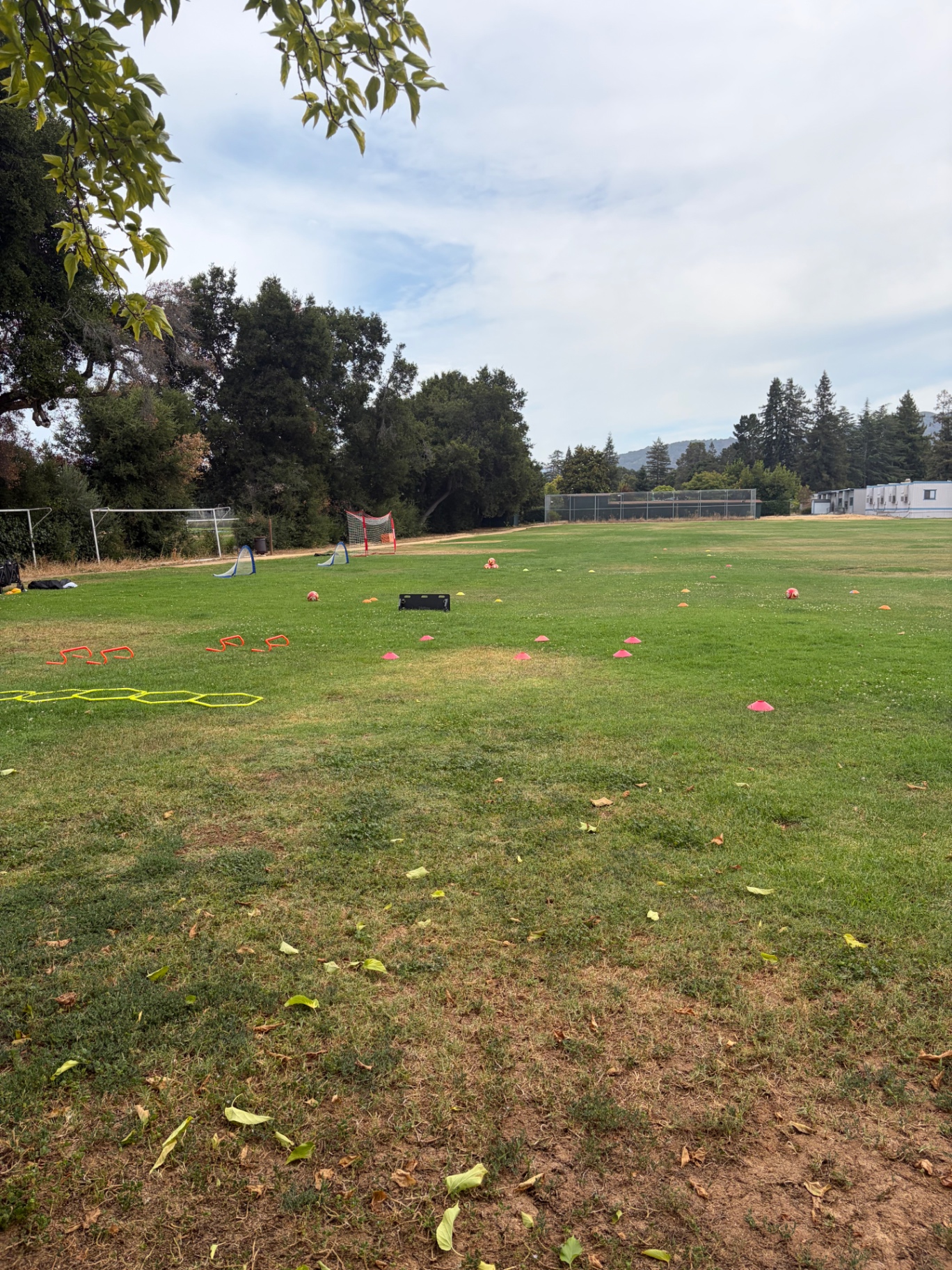Cones, hurdles, ladders and mini goals set up on the training field before a session
